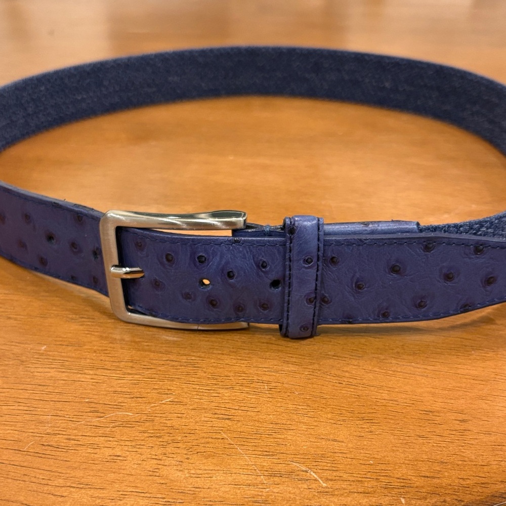 Beltology Blue stretch braided belt with faux ostrich size 34